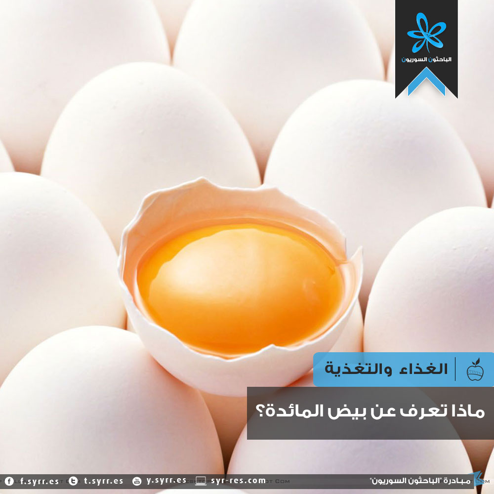 خردل قصيرة المادية  الباحثون السوريون - ماذا تعرف عن بيض المائدة؟