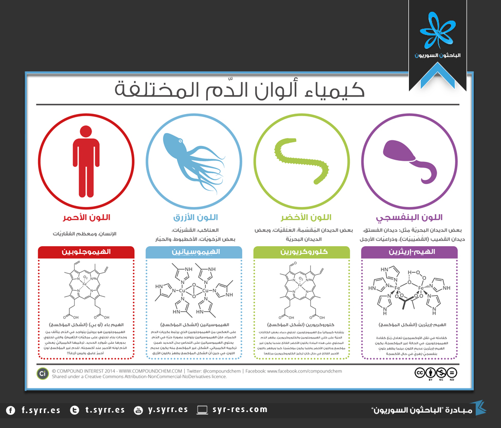 الباحثون السوريون كيمياء ألوان الدّم المختلفة