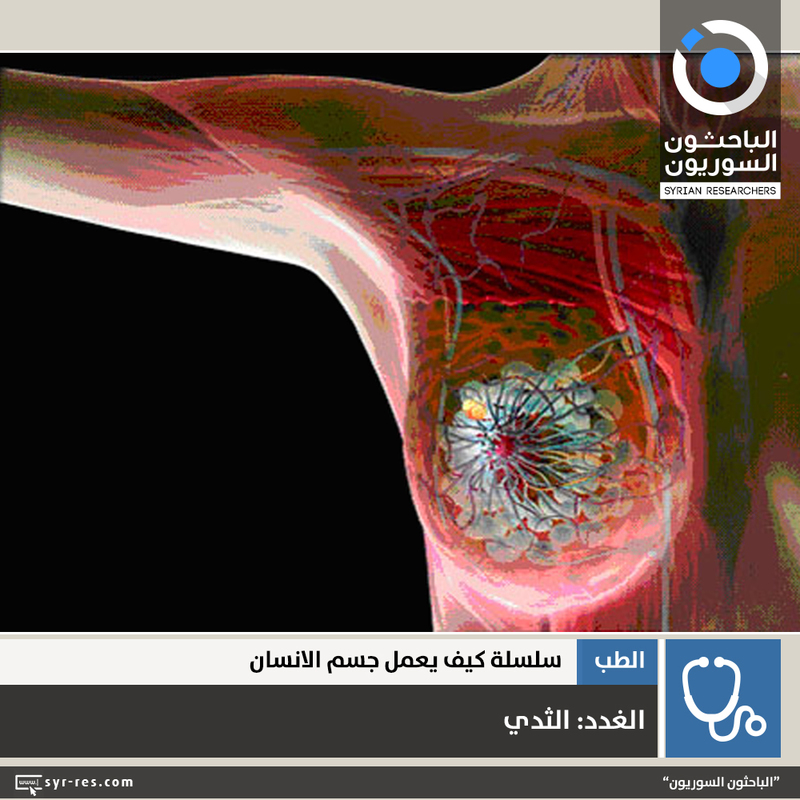 الباحثون السوريون - سلسلة كيف يعمل جسم الانسان - الغدد: الثدي