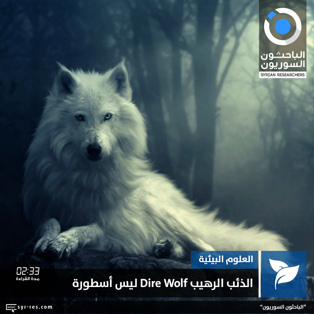 الباحثون السوريون الذئب الرهيب Dire Wolfليس أسطورة