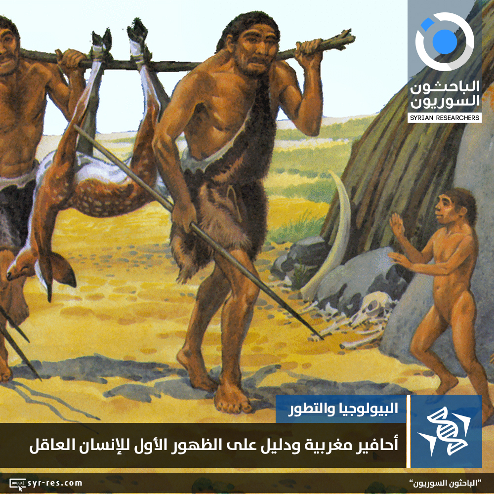 Хомо сапиенс появился в эпоху какого палеолита. Древние люди. Древний человек. Первобытные люди. Древние люди картинки.