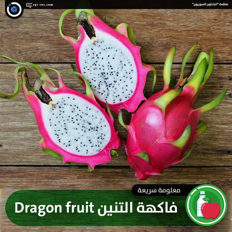 رسم توهج ثبط  الباحثون السوريون - فاكهة التنين Dragon fruit