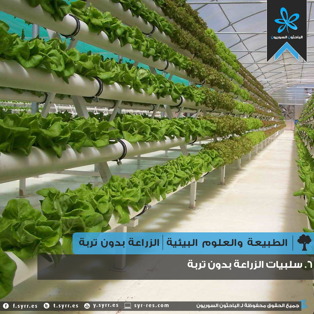Image result for ‫صور الزراعة من غير تربة‬‎